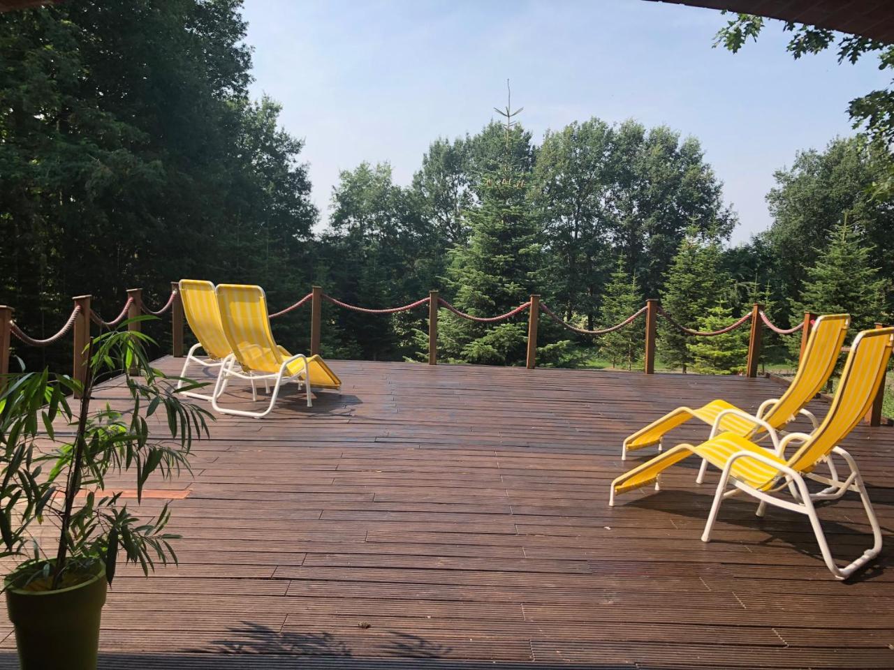Hotel Niedersaechsischer Hof Bad Bentheim Bagian luar foto