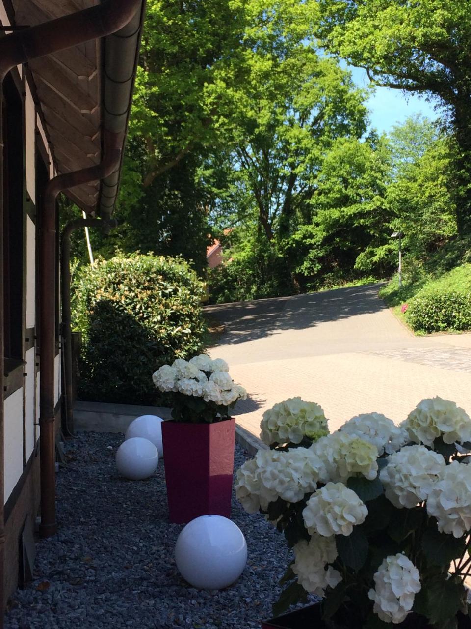 Hotel Niedersaechsischer Hof Bad Bentheim Bagian luar foto